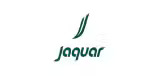 jaguar-desktop-1646230644-KpiIX